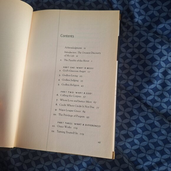 In the Grip of Grace - Picture 4 of 6